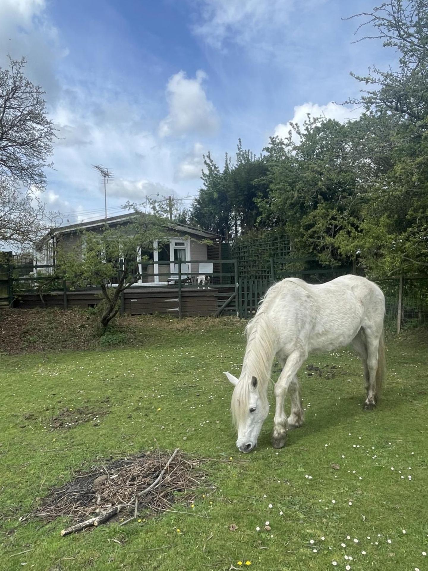 New Forest 2 Bedroom Guest & Hot Tub Деревянный коттедж Ibsley
